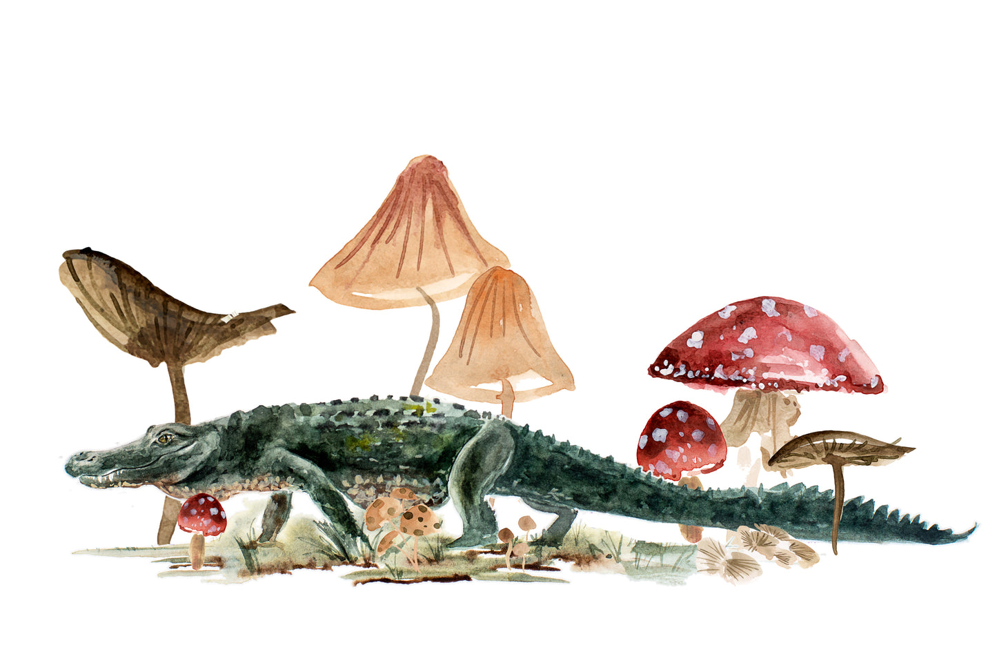 Alligator Stroll Giclee Print