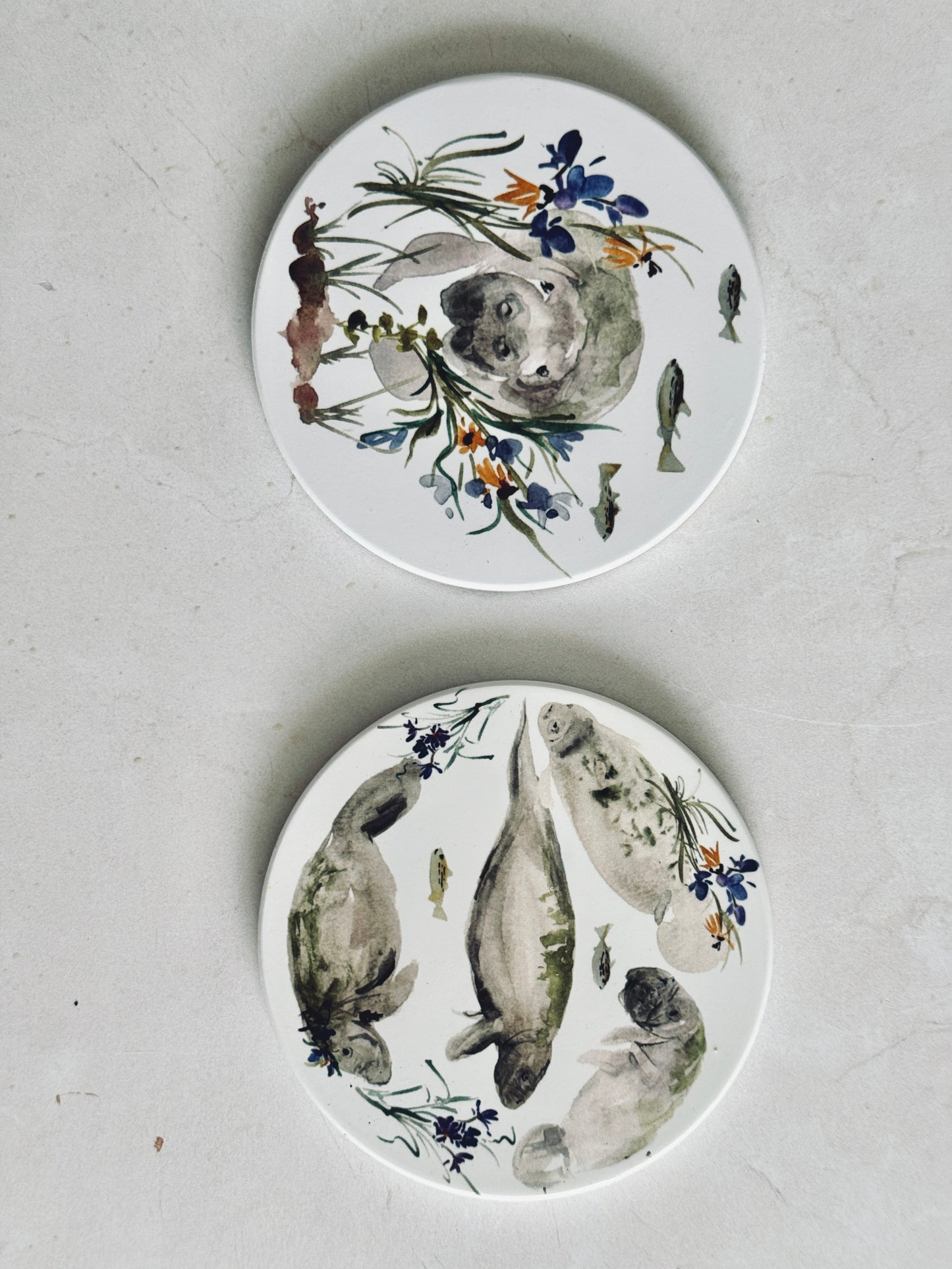 Manatee Coaster Set
