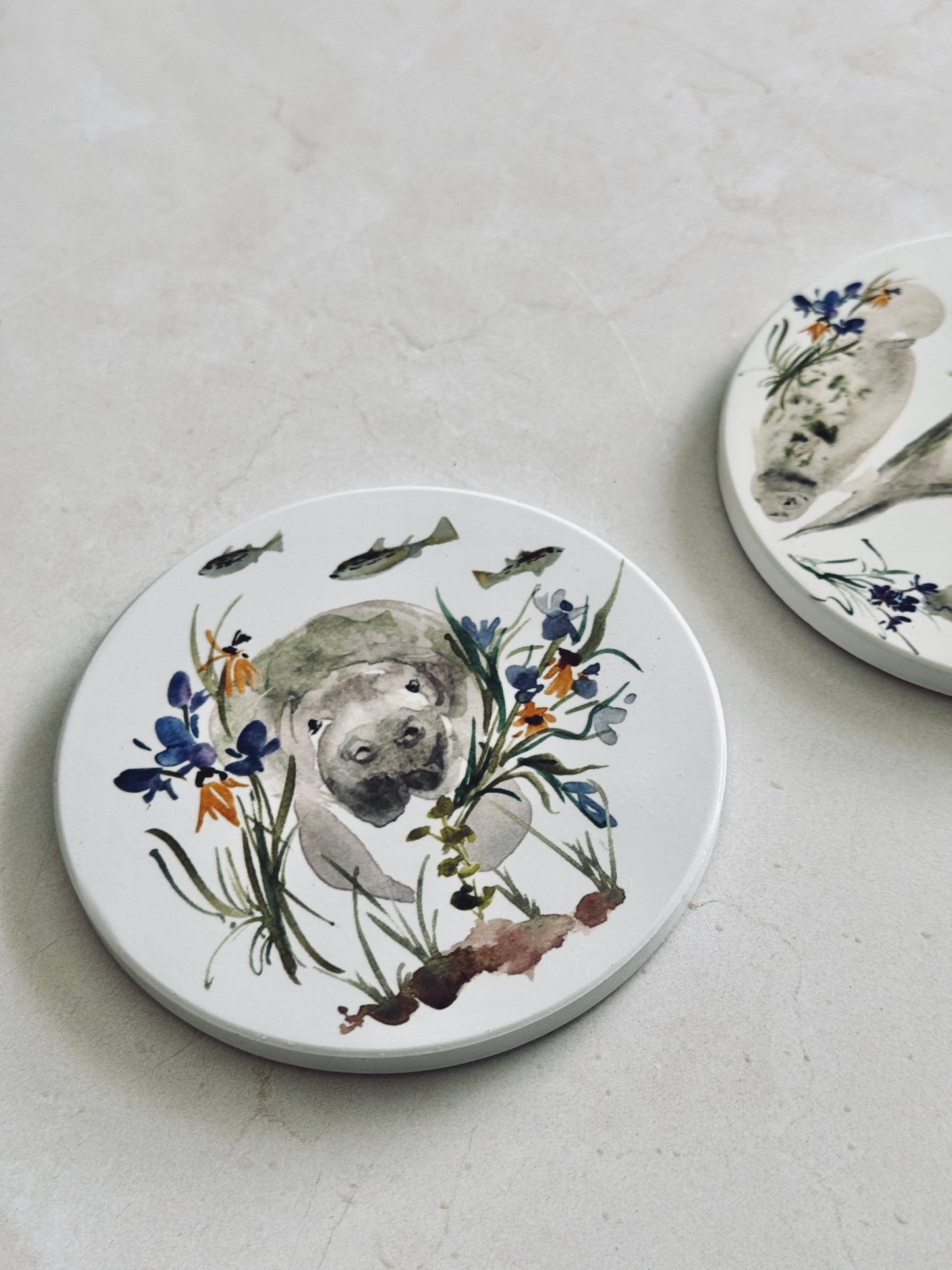 Manatee Coaster Set