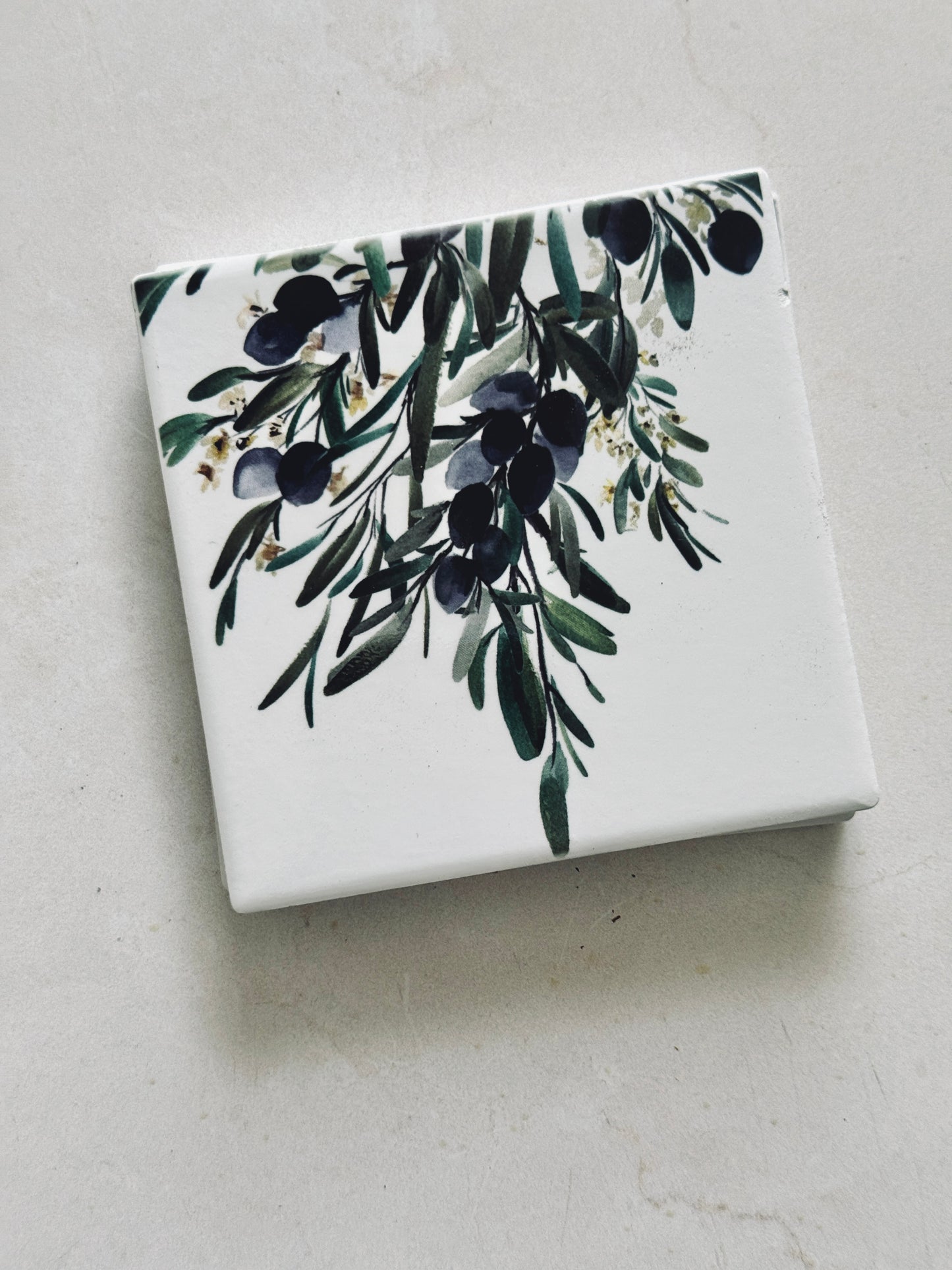 Olive Branch Coaster Set