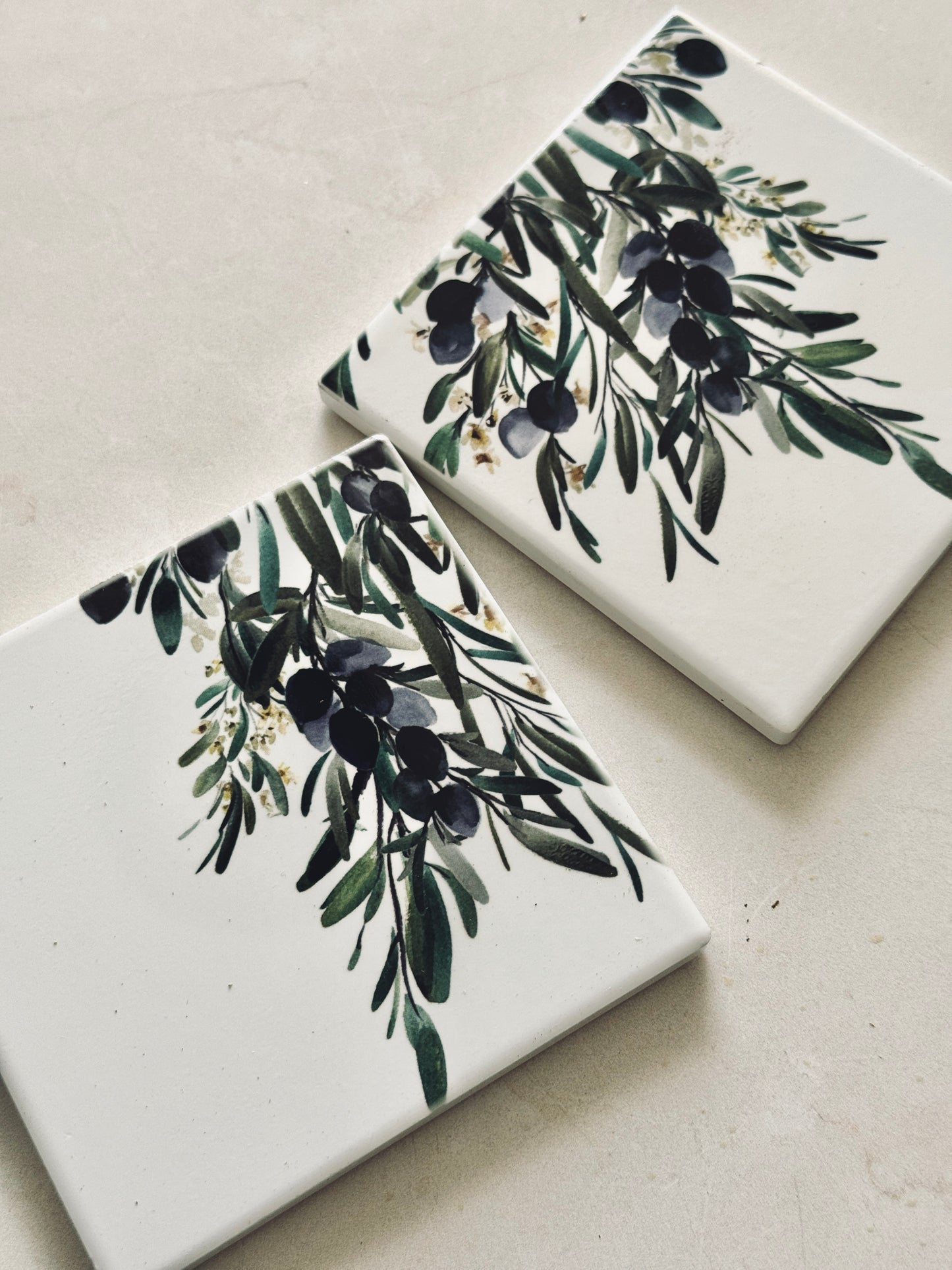Olive Branch Coaster Set