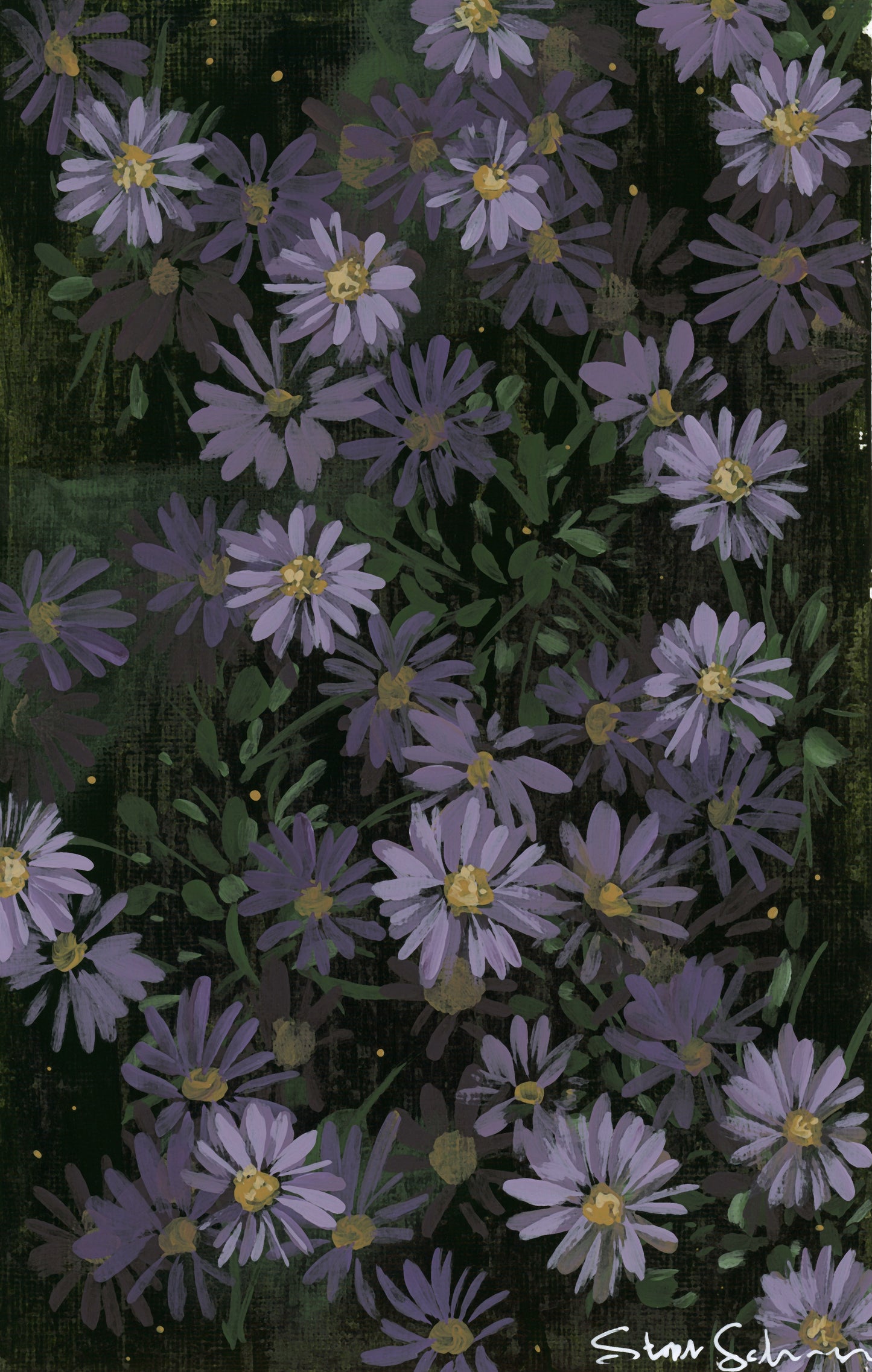 Aster Framed Print
