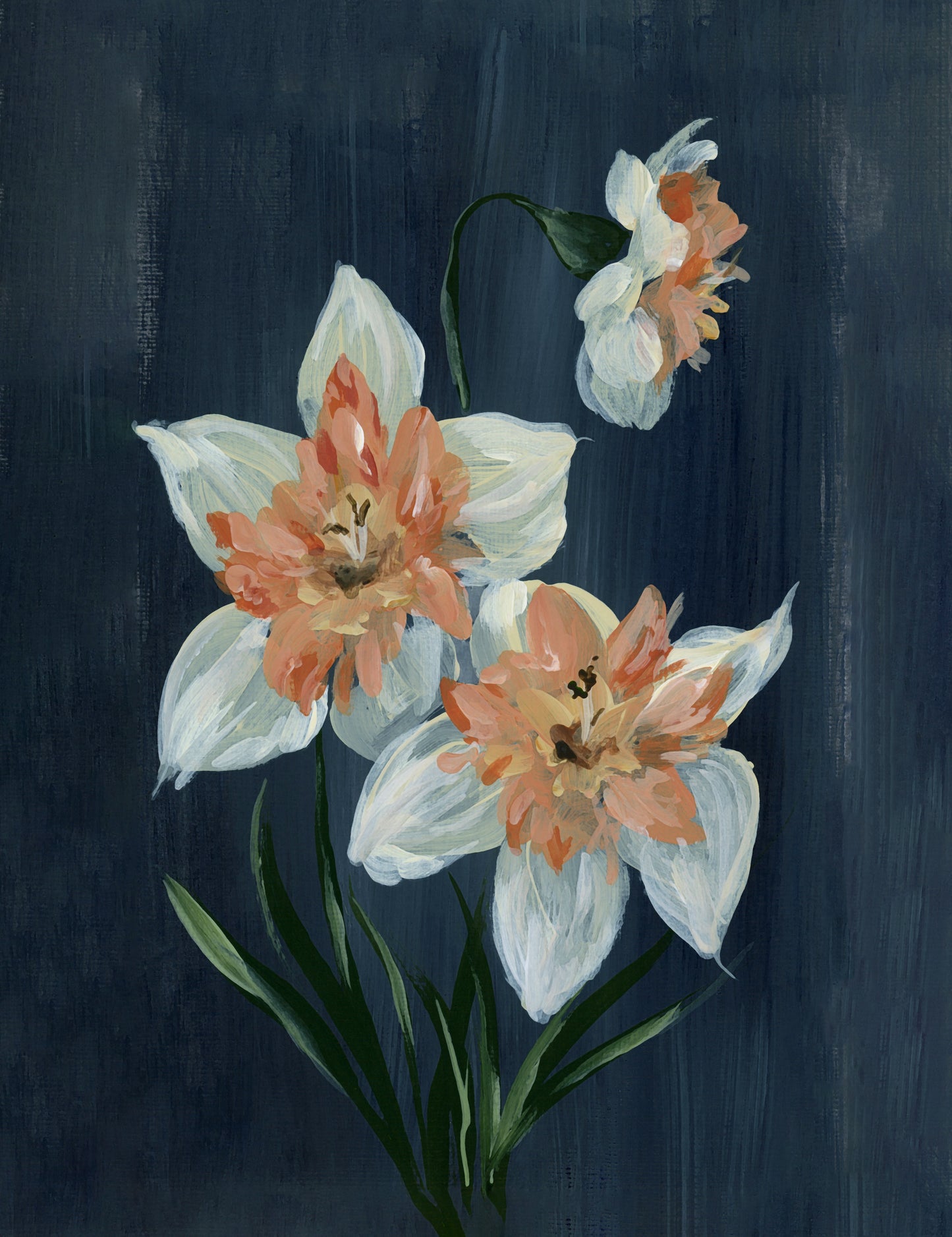 Daffodil Dreams Framed Print