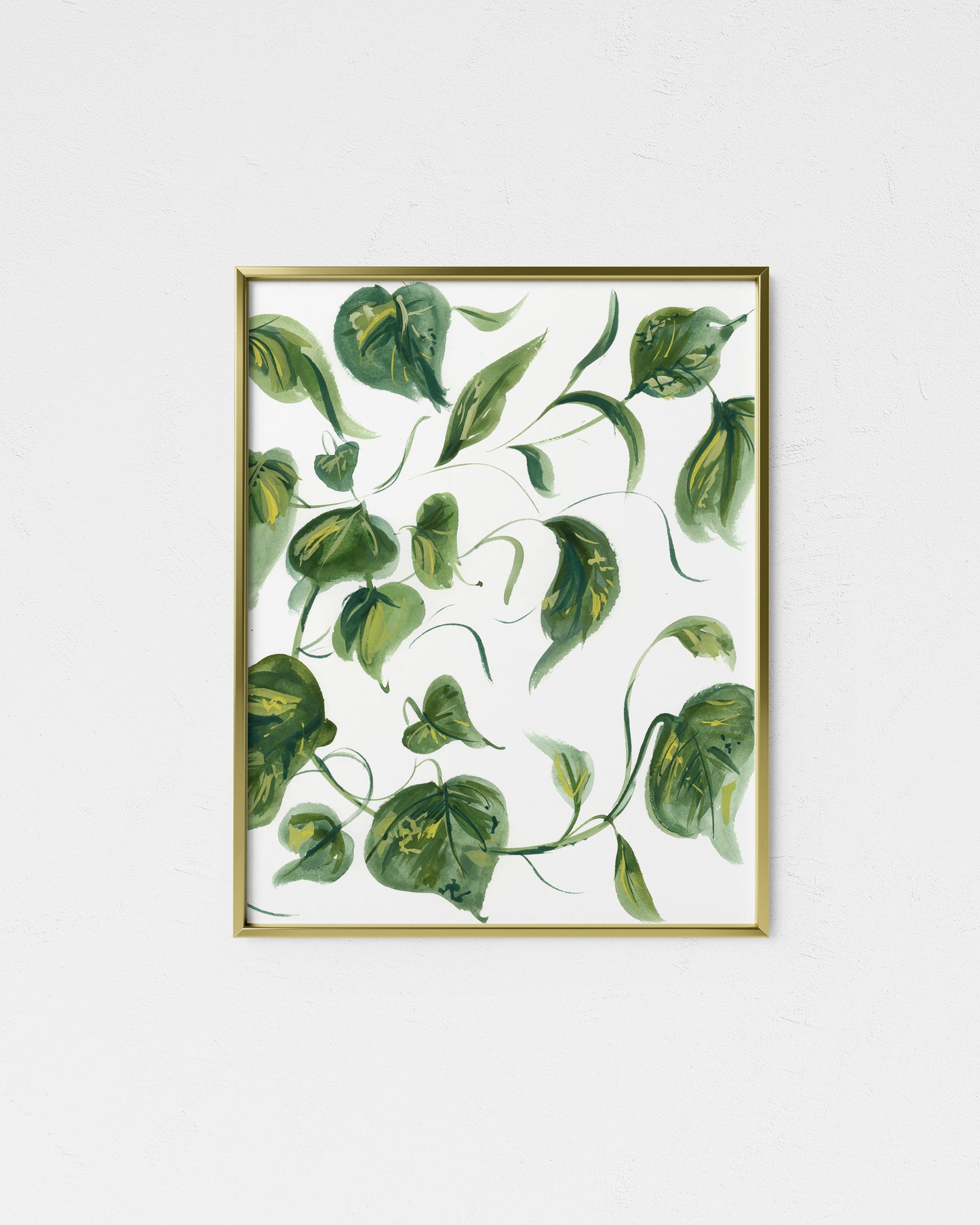 Golden Pothos Giclee Print