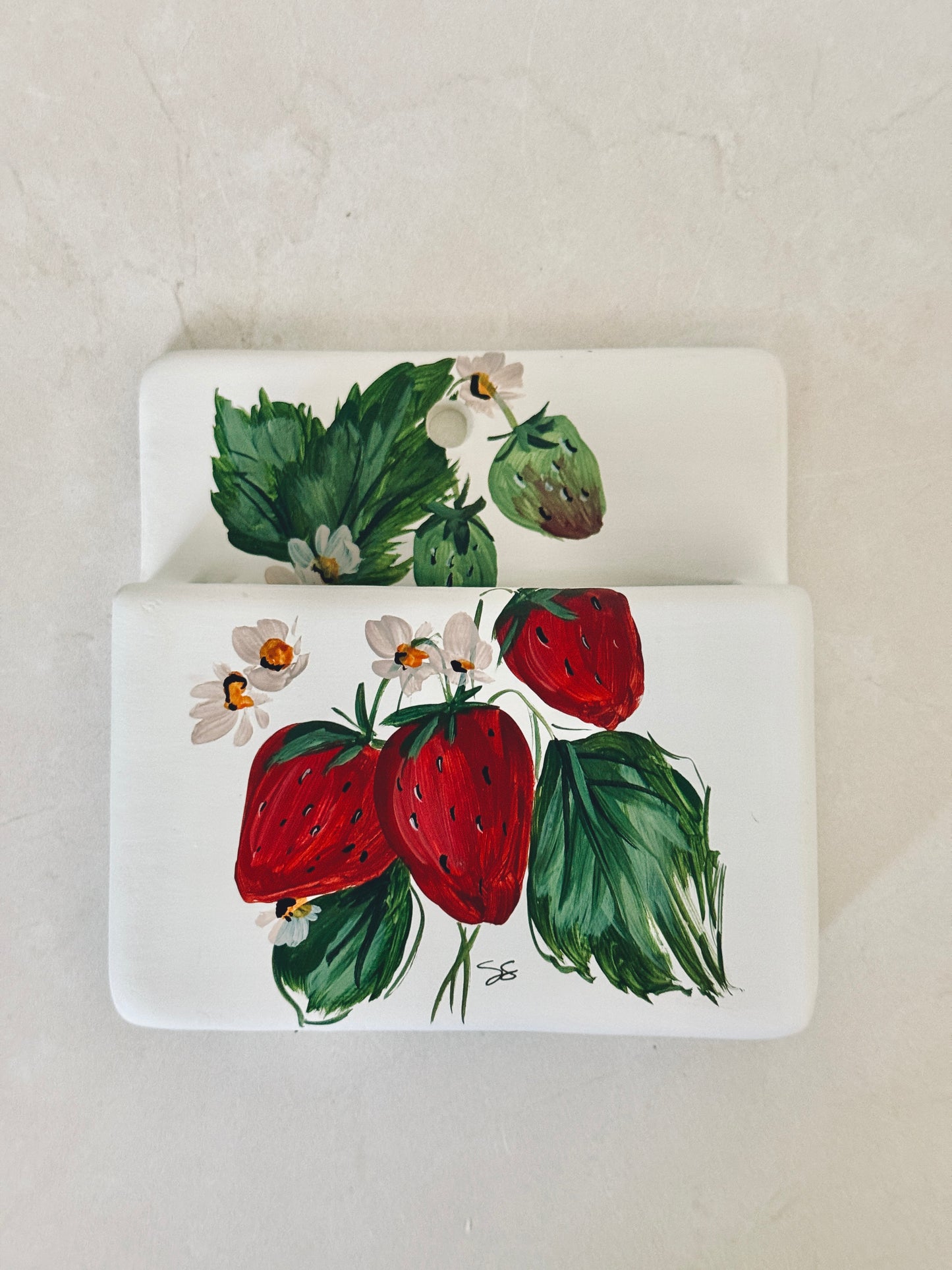 Strawberry Hanging Planter