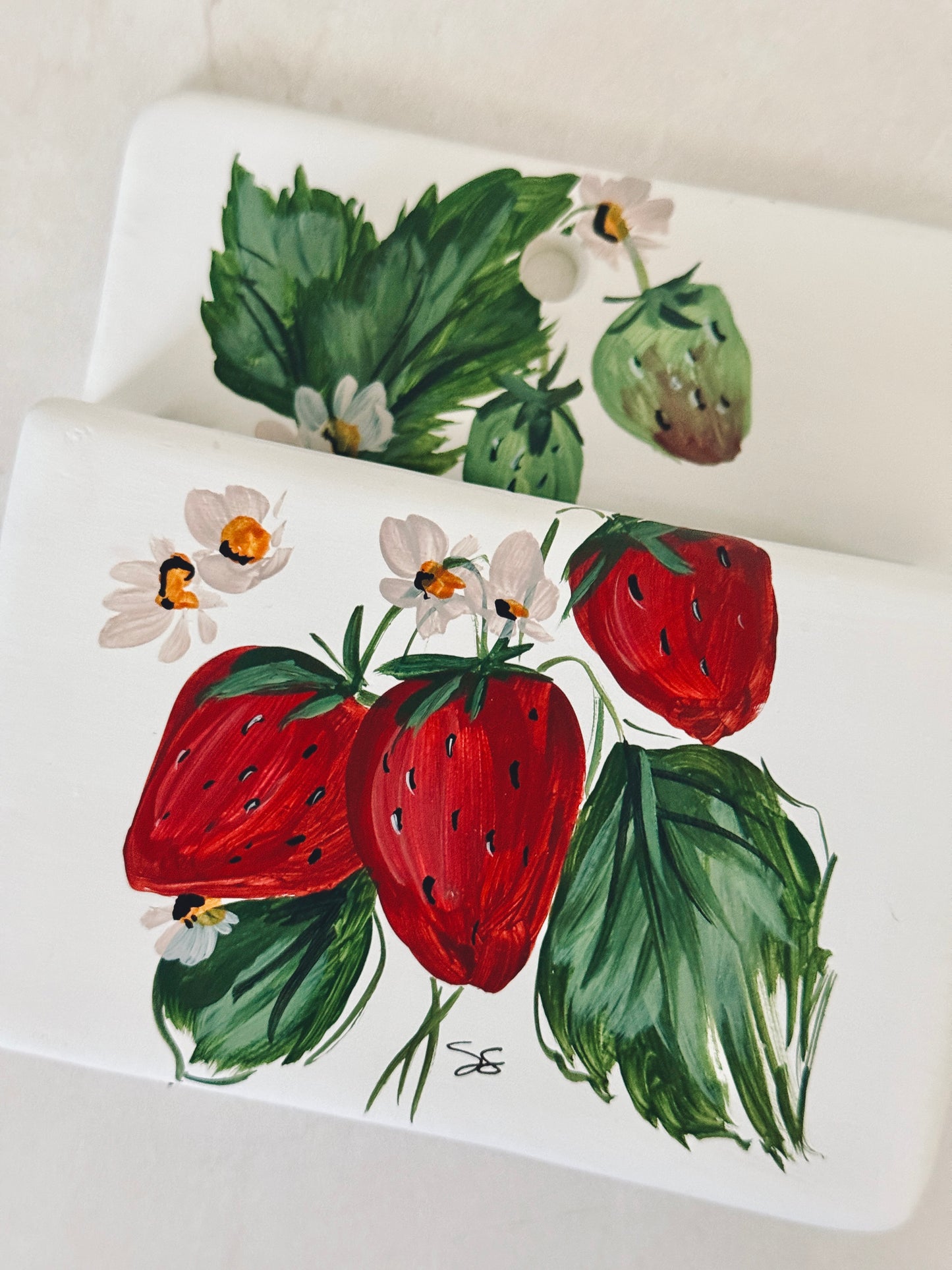 Strawberry Hanging Planter