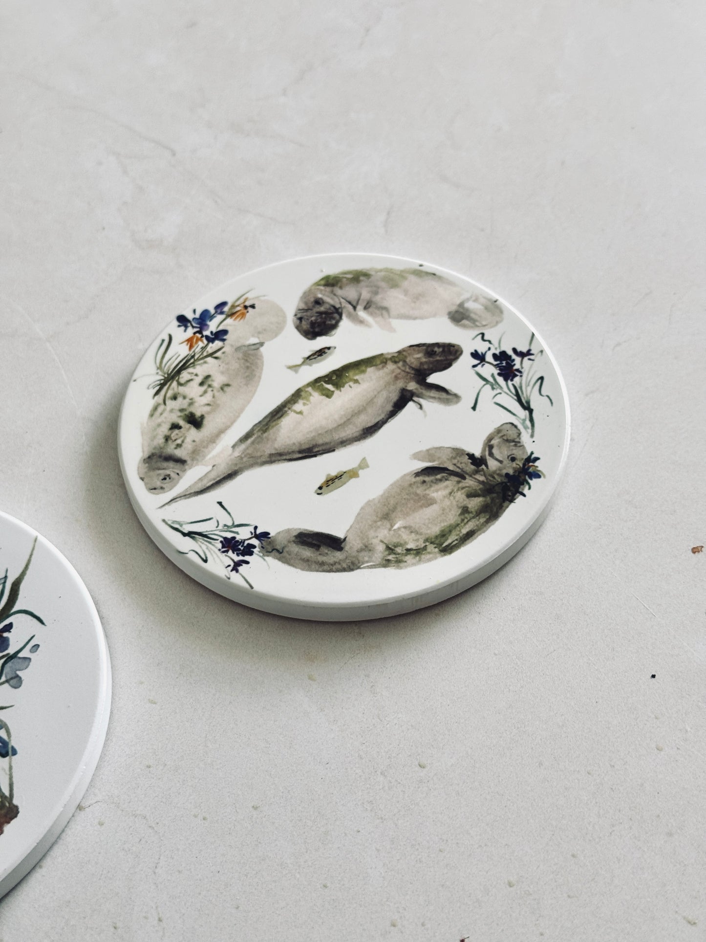 Manatee Coaster Set